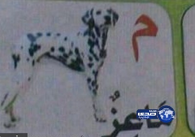 “التربية”: الصورة المتداولة لـ “الكلب السلوقي” ليست بمقرراتنا الدراسية