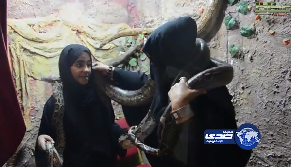 بالفيديو .. سيدة سعودية تصطاد الثعابين وتربيها لتوفير القوت لها ولابنتها