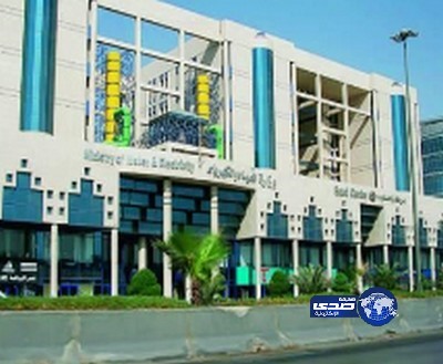 هيئة الكهرباء: المشترك يدفع 8% من قيمة الاستهلاك والبقية من دعم الدولة