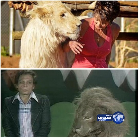 ناس تلعب مع أسد وناس تخاف من الكلب