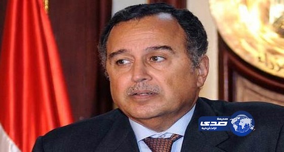 مصر تستدعى سفيرها بتونس ردا على المرزوقى