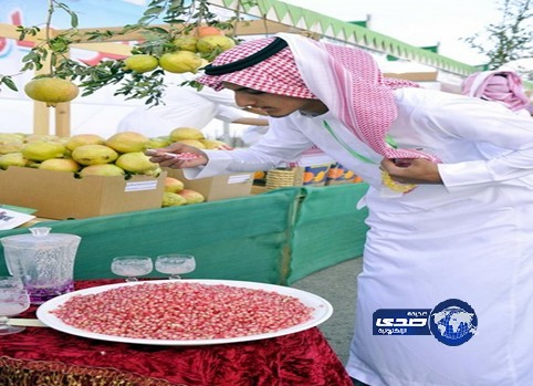 مهرجان الرمان الثاني بالباحة يواصل فعالياته