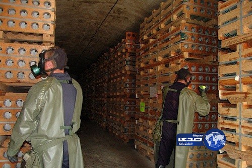 كبير المفتشين: يصعب إيجاد وتدمير كل أسلحة سوريا الكيماوية