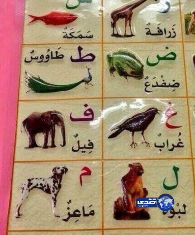 الدخيني : الصورة المتداولة لـ “الكلب بدلاً من الماعز” ليست بمقرراتنا الدراسية