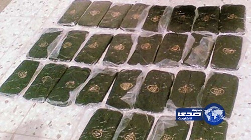 “حدود” عسير يحبطون تهريب 397 كيلوجراماً من الحشيش المخدر