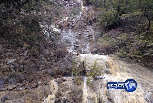 هطول أمطار خفيفة على الباحة