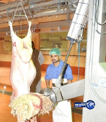 “أمانة عسير” تشيد بتجربة مسلخ بريدة النموذجي