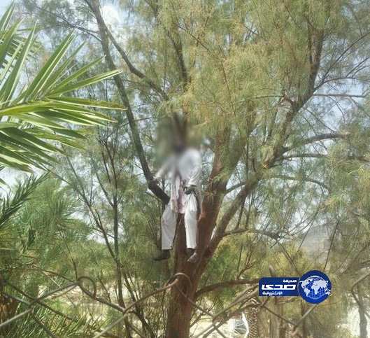 أفغاني وُجد مشنوقاً على شجرة بـ”ترج” جنوب بيشة