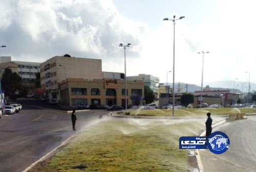 “أمانة عسير” تزيِّن وسط أبها بالمسطحات الخضراء