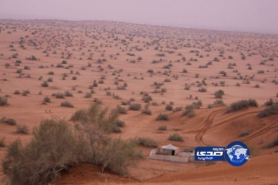 “مدني الرياض” يعثر على مفقودي حريملاء ويبحث عن ثالث بالثمامة
