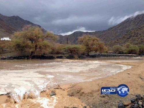 أمطار العرضيات وحلي تستنفر فرقَ الدفاع المدني بالقنفذة