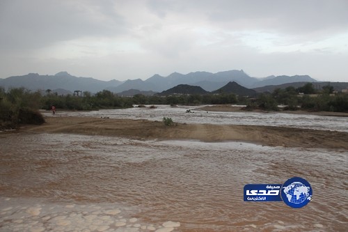 هطول أمطار غزيرة على قرى شرق حلي