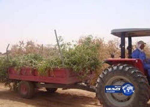 انتهاء أعمال دورة تدوير المخلفات الزراعية بعنيزة