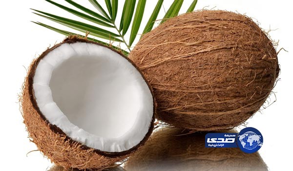 اعتقال “حبة جوز هند” في المالديف.. بتهمة السحر الأسود