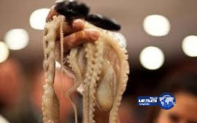بالصور.. مهرجان لأكل الأخطبوط “حياً”