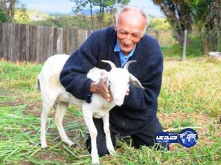 رجل يتزوج من معزاته.. لأنها لاتتسوق !!