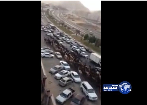 بالفيديو..الإبل تغزو شوارع مكة المكرمة وتعطل حركة السير