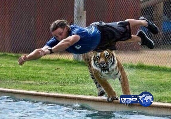 فيه امور ماتغامر معها!