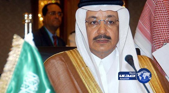 الصريصري ينفي اتخاذ أي خطوات بـمشروع جسر المملكة ومصر