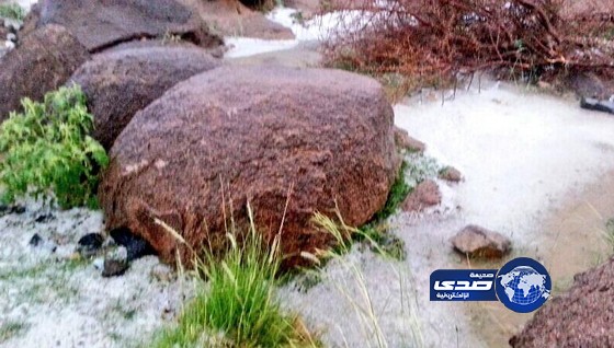 هطول  أمطار على محافظة الطائف