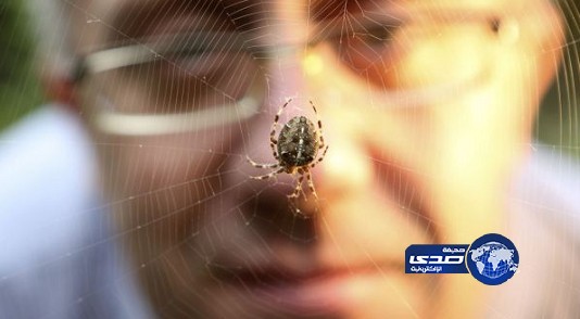 ساعي بريد يرفض تسليم الرسائل بسبب عنكبوت