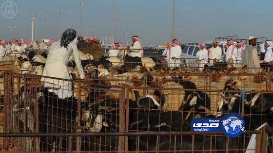 المنطقة الشرقية تسجل الاعلى سعراً للنعيمي وتبوك الأقل في مؤشر البيع