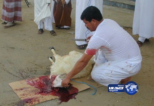ذبح الأضاحي يحمي كوكب الأرض من زيادة في الاحتباس الحراري