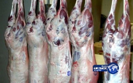 بدء توزيع لحوم الأضاحي على أكثر من 4000 أسرة في مدينة السيح