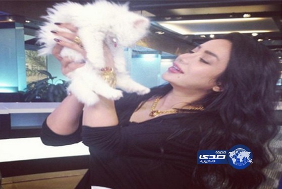 صورة قطة تجلب الغزل للجين عمران