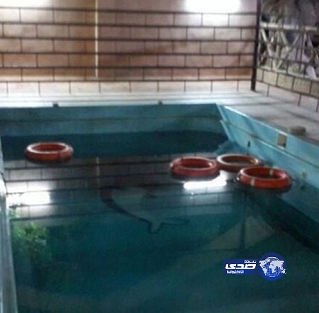 سهو عائلي يتسبب في غرق 3 أطفال باستراحة في “أبوعريش”