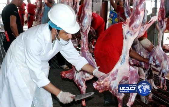 بيع (770) ألف سند من سندات الهدي والأضاحي لحجاج بيت الله