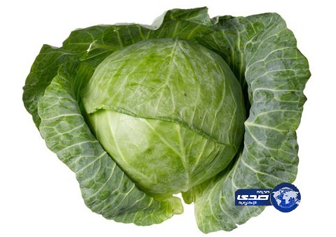 الملفوف يساعد في مقاومة السرطان والإشعاعات