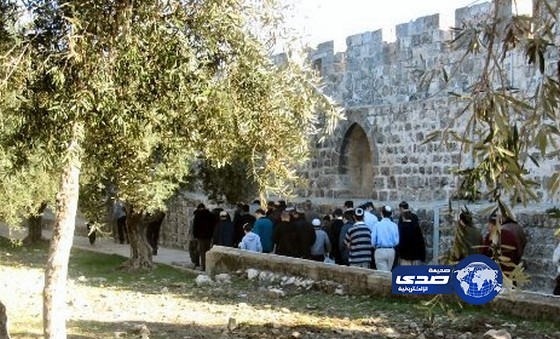منظمات يهودية تقتحم المسجد الأقصى