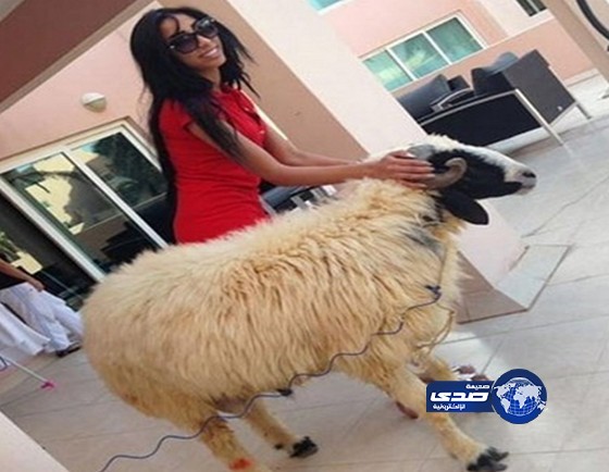 دنيا بطمة تتحول لرعاية الخرفان بعد الفن!
