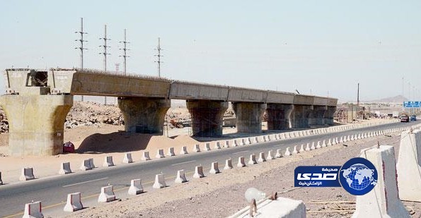 «القطار المعلق» يوفر 300 وظيفة ويستوعب زيادة الطلب على النقل