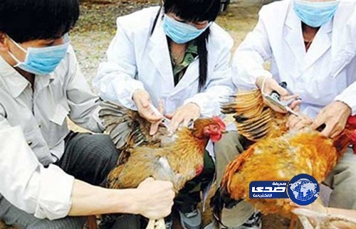 إنفلونزا الطيور تهدد الصين باحتمال حدوث وباء في الشتاء