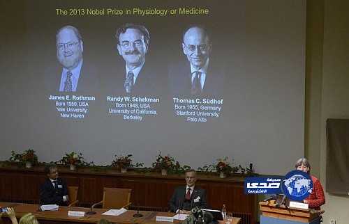 أمريكيان وألماني يفوزون بجائزة نوبل للطب