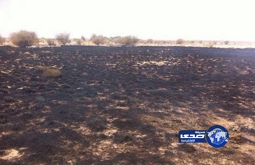 حريق يلتهم مزرعة نخيل بفريع المحاني شمالي الطائف