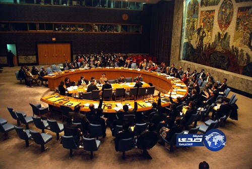 ترحيب مصري برفض السعودية عضوية مجلس الأمن