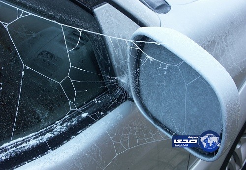 تويوتا تستدعي 870 ألف سيارة بسبب العناكب