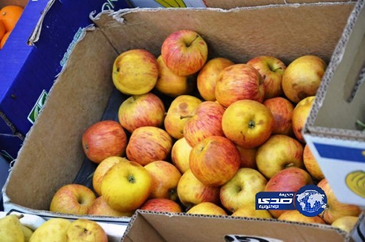 ضبط أغذية مغشوشة لتموين سجن نجران العام