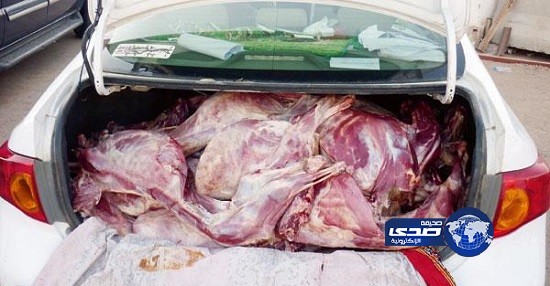 بلدية بحرة تتلف 120 رأساً من لحوم الأضاحي