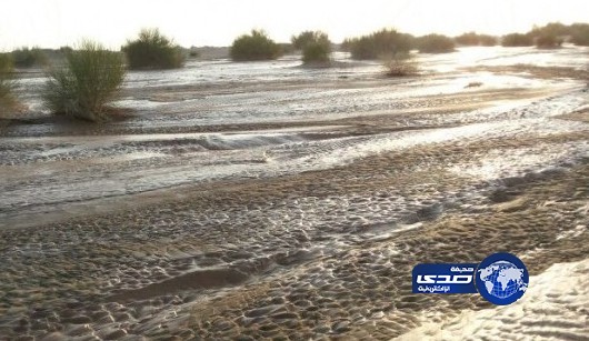 غرق شابين بأحد أودية سعيدة الصوالحة