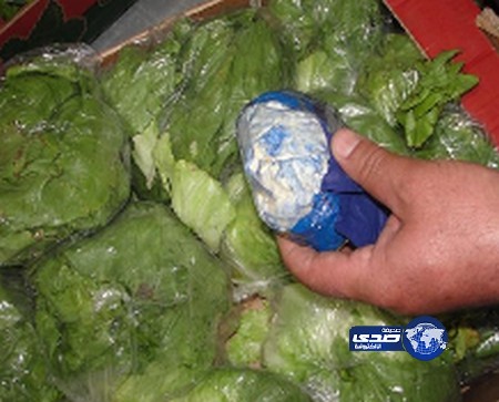 الجمارك تحبط أكثر من 750 ألف حبة كبتاجون بورق الخس