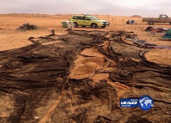 صورة : الأمطار والعواصف مزقت  بيت شعر لعائلة تقيم في صحراء جبه شمال حائل