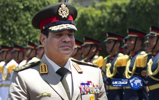 مؤيدو السيسي يدعونه من وسط القاهرة للترشح للرئاسة