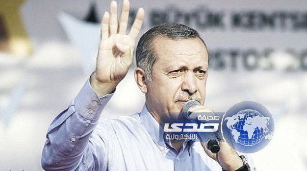 تركيا تتوعد باتخاذ خطوات مماثلة بعد طرد سفيرها في مصر