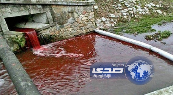 نهر تتحول مياهه إلى دماء في سلوفاكيا