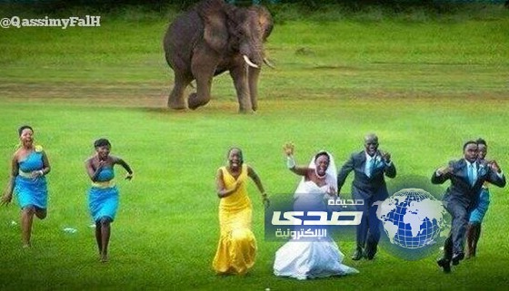 صورة :اذا انقلب الفرح للحظة رعب!!