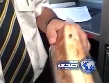 مضيف يُصوّر ذبابة في إحدى وجبات طائرة الخطوط السعودية (فيديو”